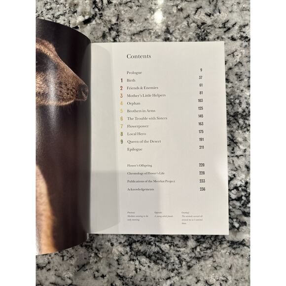 Meerkat Manor - Seasons 1-3 (DVD, 2-Disc Set) - Plus Flower of the Kalahari Book - Picture 11 of 12